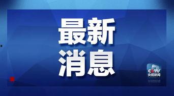 仁德最新爆料消息视频,最新爆料视频深度解析